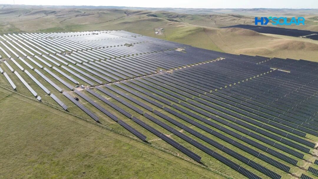2026082502703df48a1445bdace1a437747c7712 图片